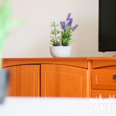 Apartamento Colon By Sanse Holidays San Sebastián Kültér fotó