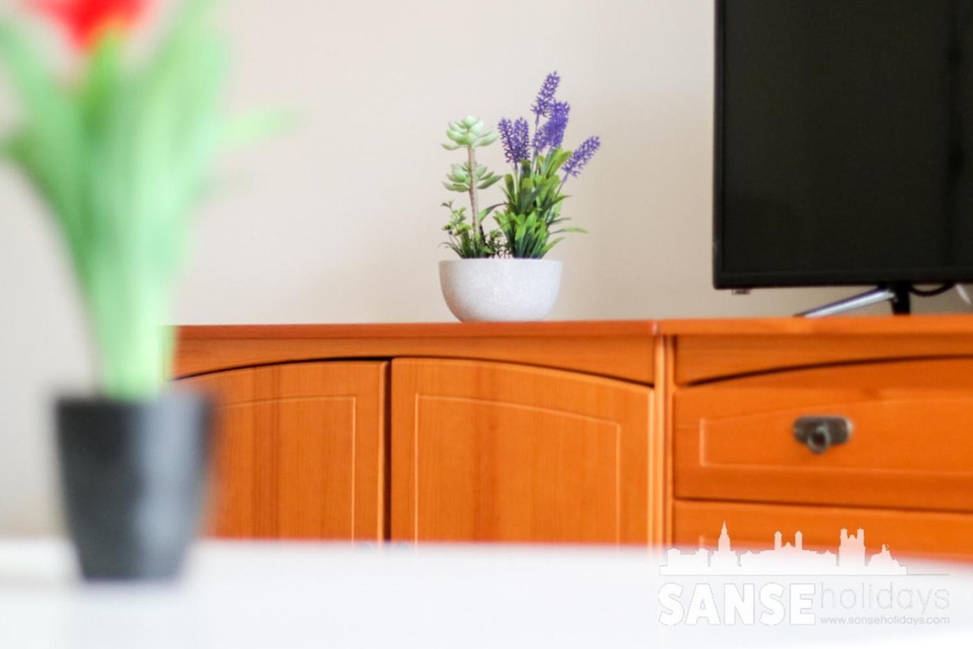 Apartamento Colon By Sanse Holidays San Sebastián Kültér fotó